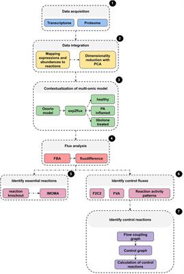 Multi-Omics Integrative Analysis Coupled to Control Theory and Computational Simulation of a Genome-Scale metabolic Model Reveal Controlling Biological Switches in Human Astrocytes Under Palmitic Acid-Induced Lipotoxicity